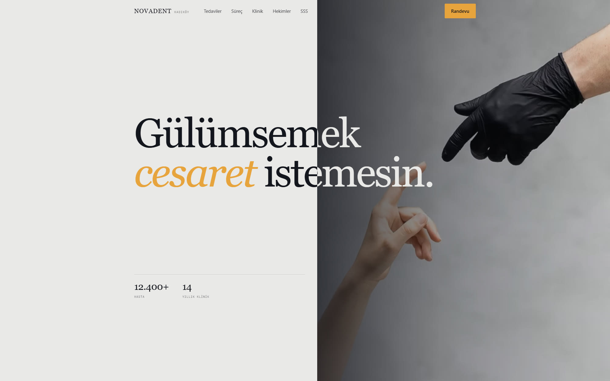 Diş Kliniği web sitesi ekran görüntüsü