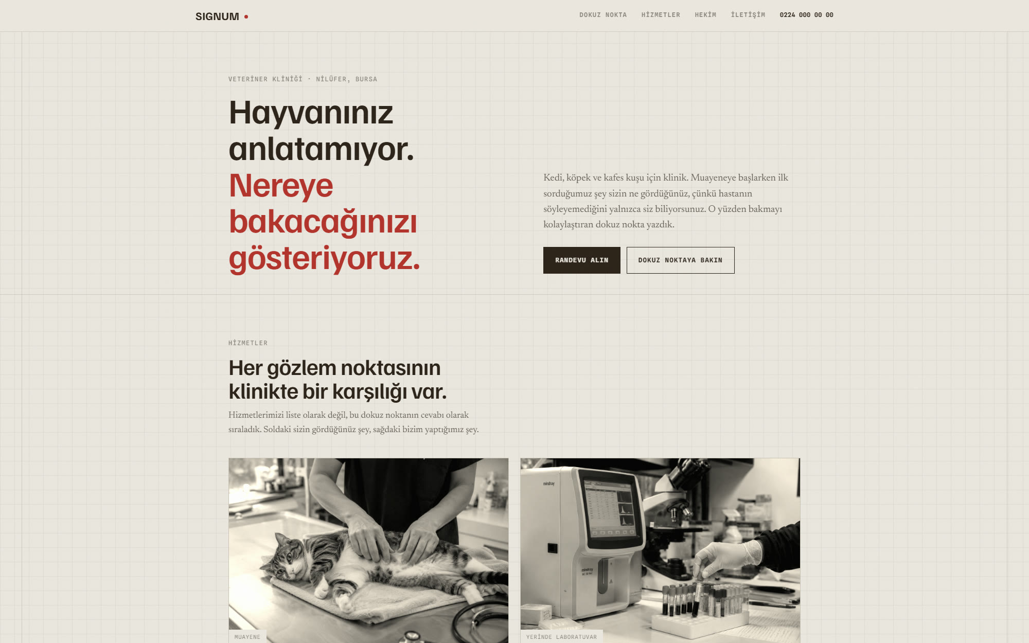 Veteriner Kliniği web sitesi ekran görüntüsü